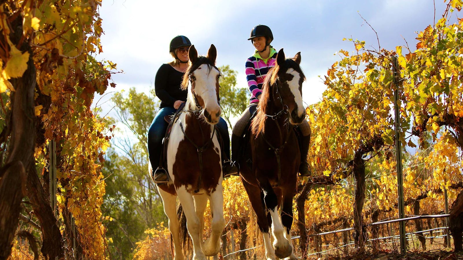 Billabong Ranch Adventure Park