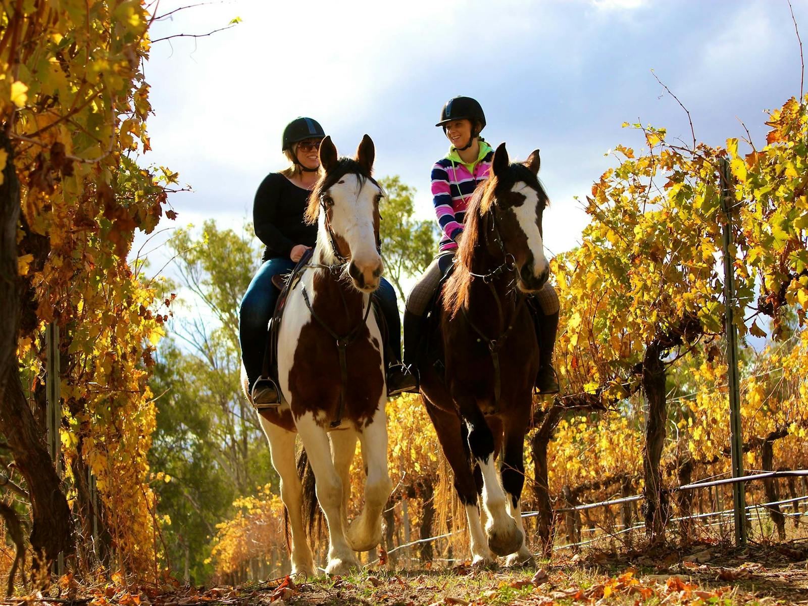 Billabong-Ranch