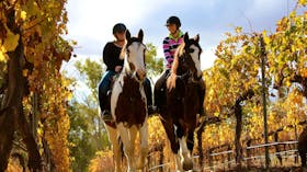 Billabong Ranch
