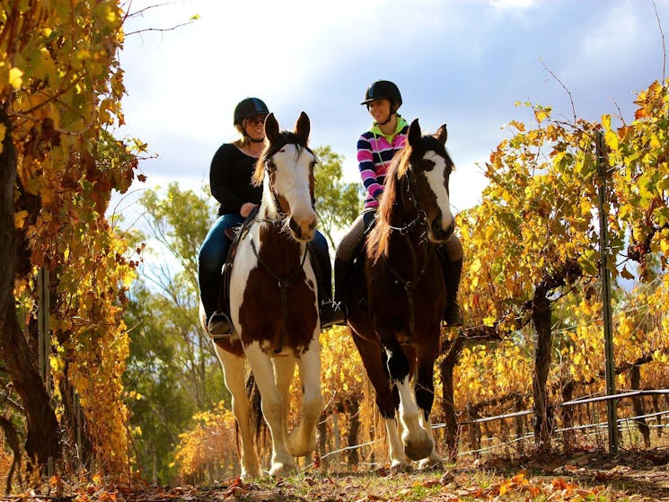 Billabong Ranch