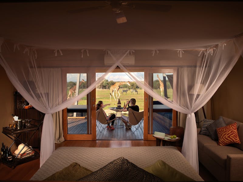 Taronga Western Plains Zoo, Dubbo NSW Holidays &