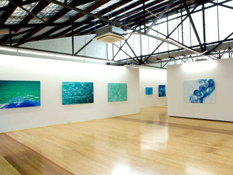 Elizabeth Thomson Voyage Sauvage