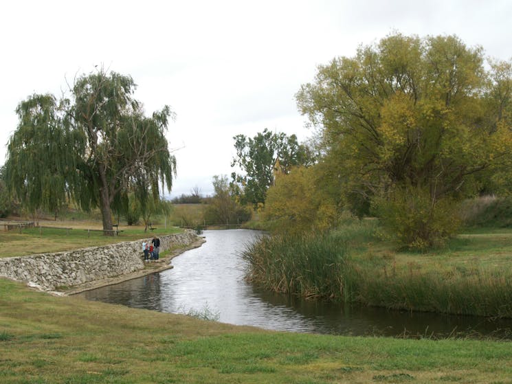 Barbour Park Campground in Gunning