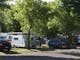 Shady camping sites