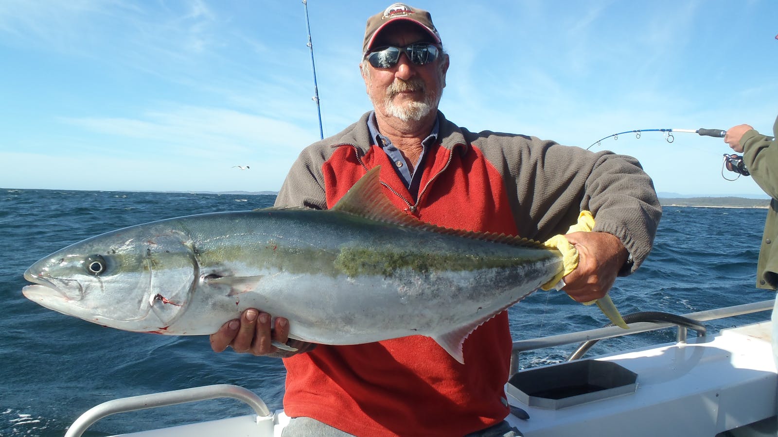 Montague Island Adventures and Charter Fish Narooma
