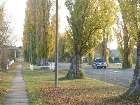 Self Guided Walking Tour