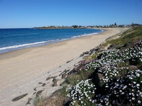 Warilla image