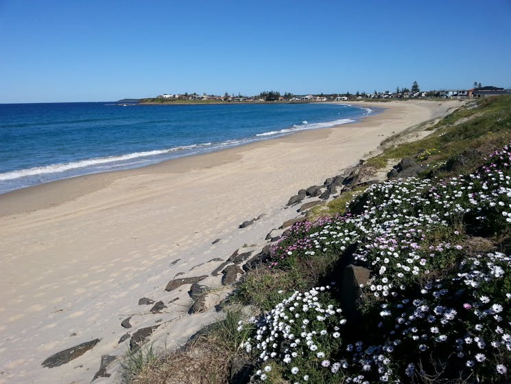 Warilla Beach