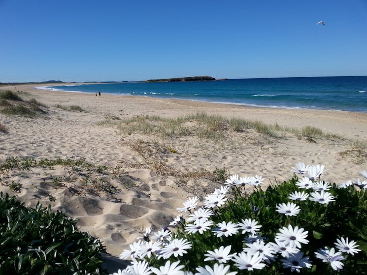 Warilla Beach