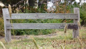 Nimmitabel Heritage Walk