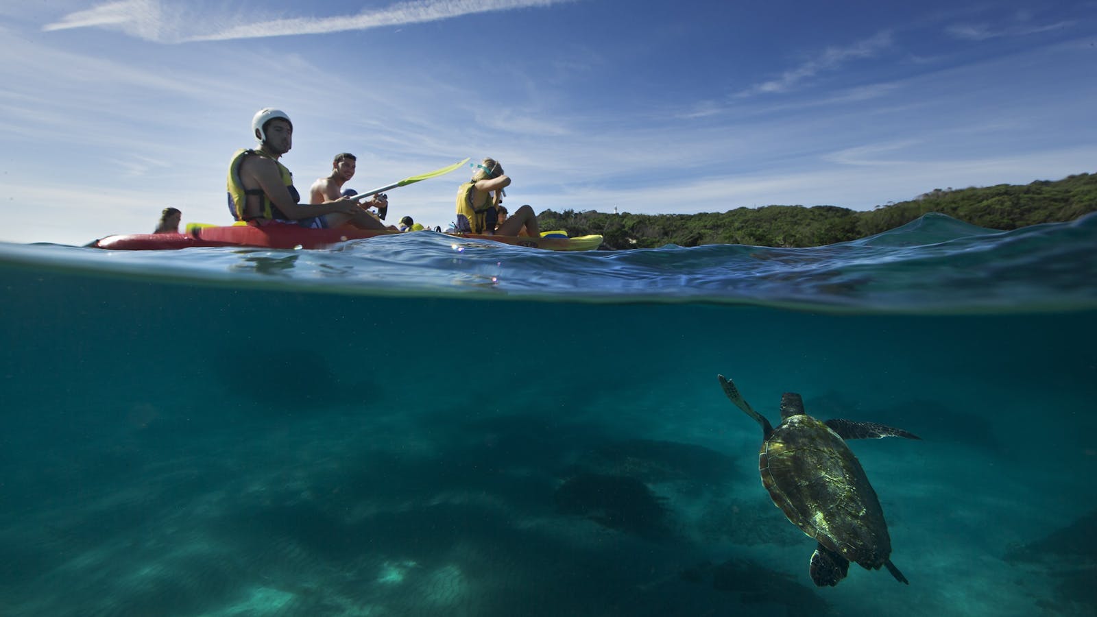 Go Sea Kayak Byron Bay