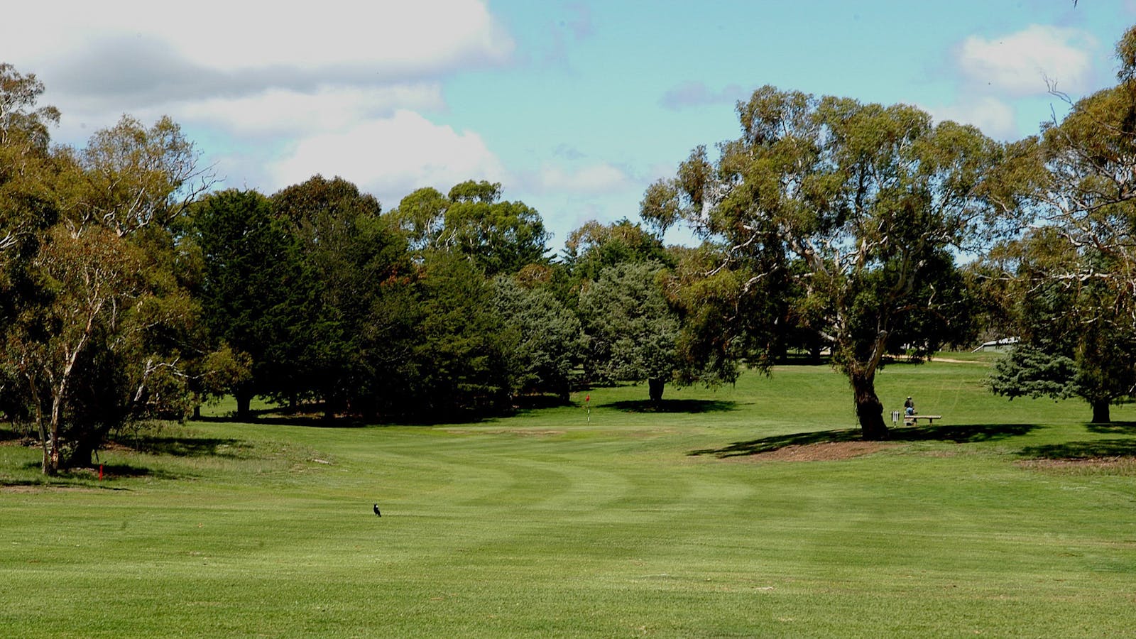 Cooma Golf Club