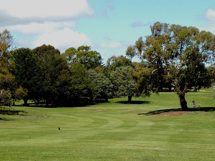 Cooma Golf