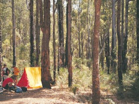 Nanga Mill Campground