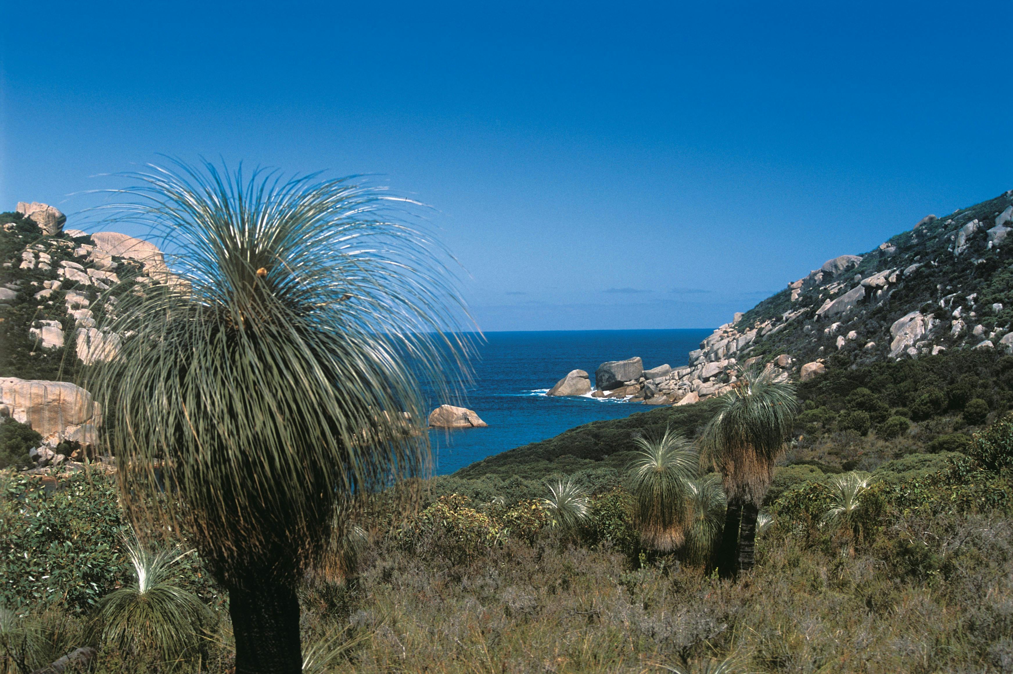 Waychinicup Inlet Camping Area