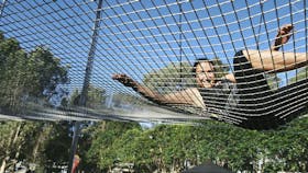 Safe in the net