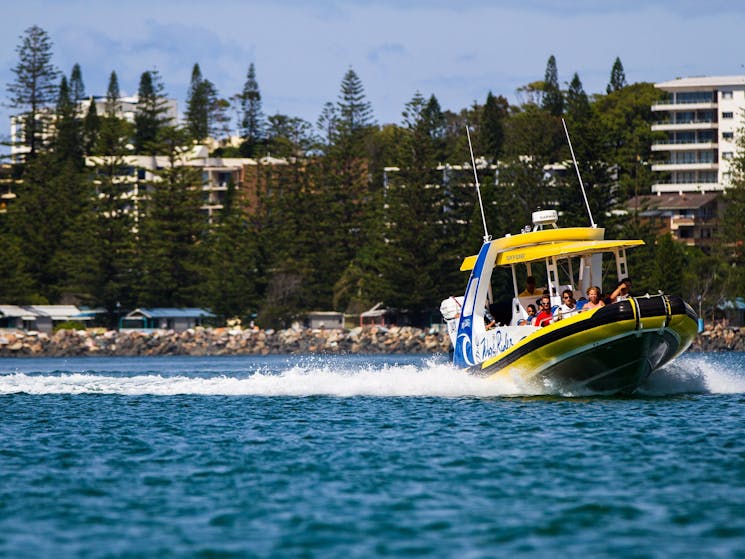 Wave Rider roaring down the Hastings River