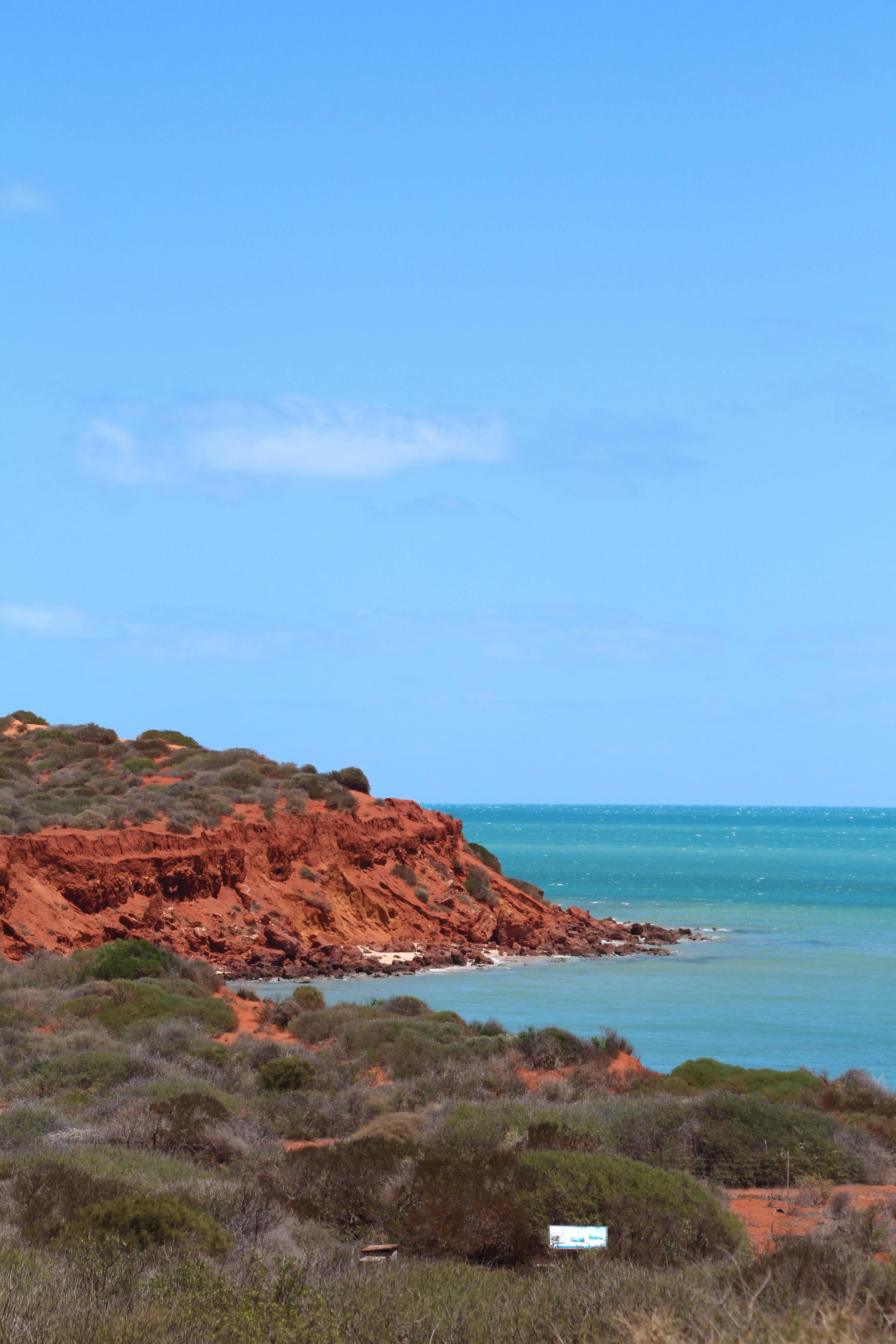 Shark Bay Coastal Tours