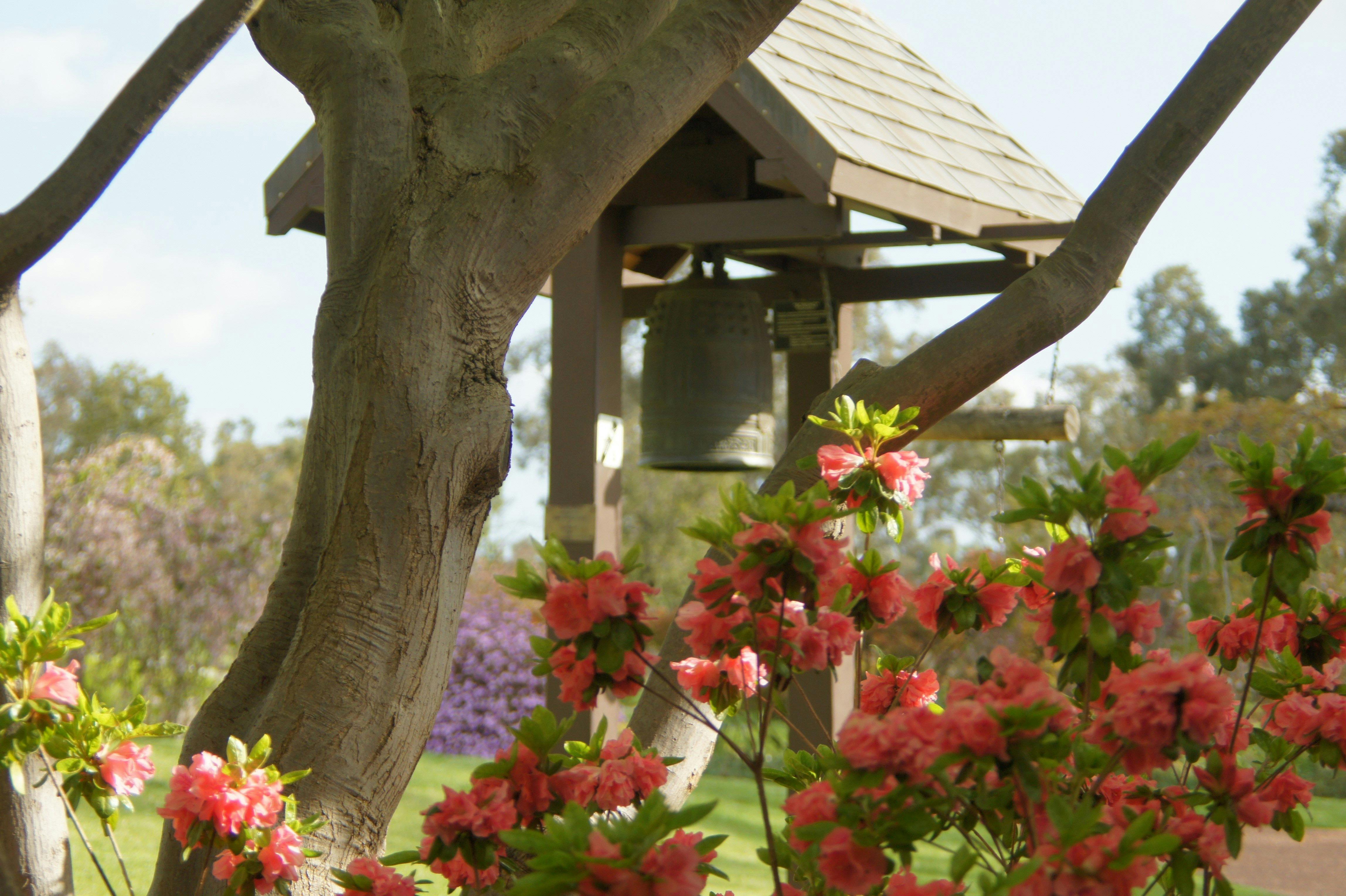 Azalea and Bonsho Bell