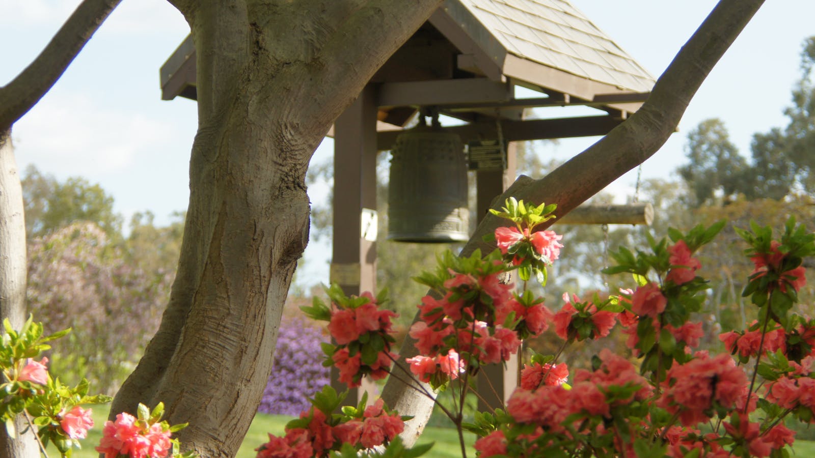 Cowra Japanese Garden and Cultural Centre