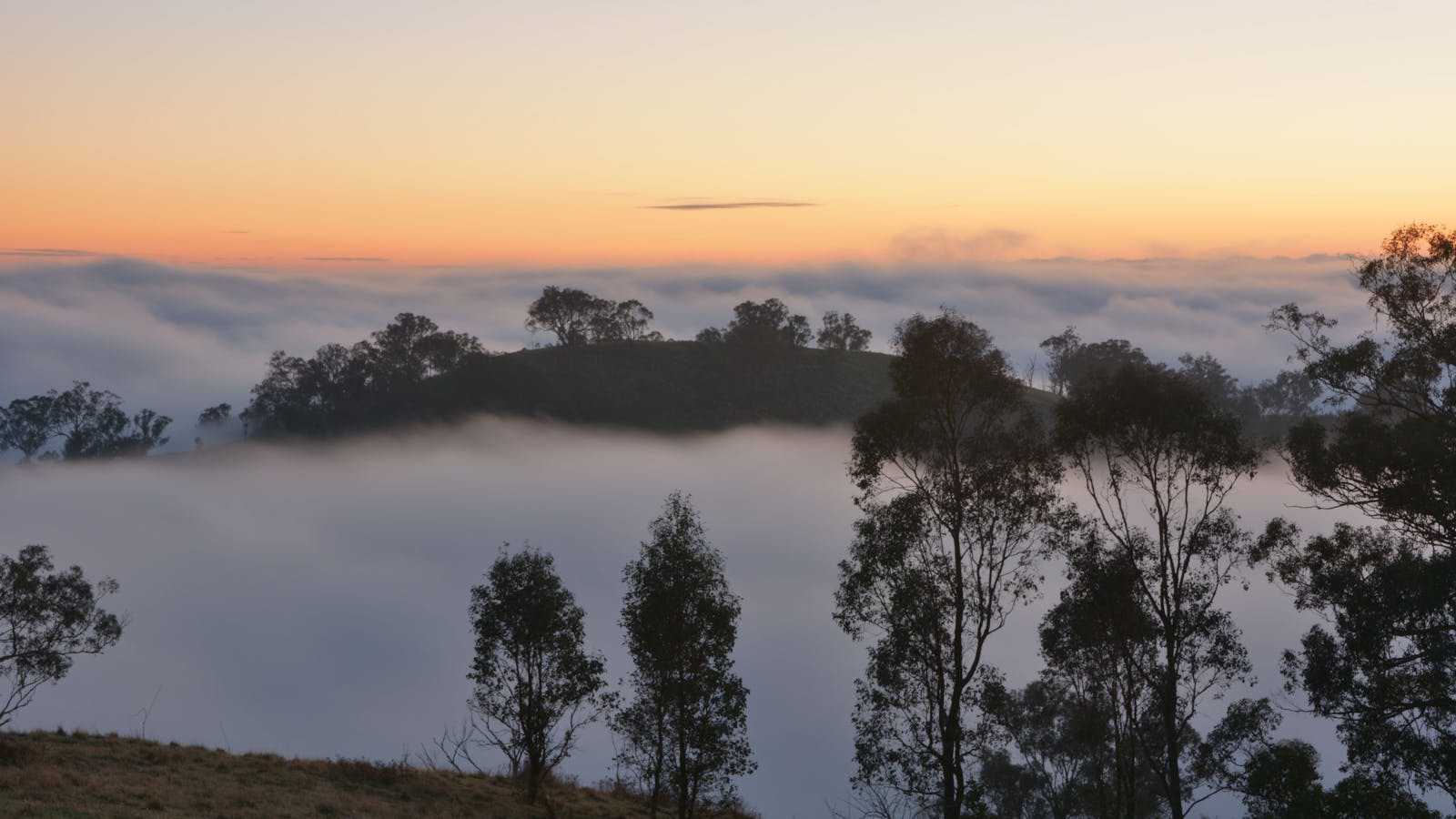 Huon Hill Parklands