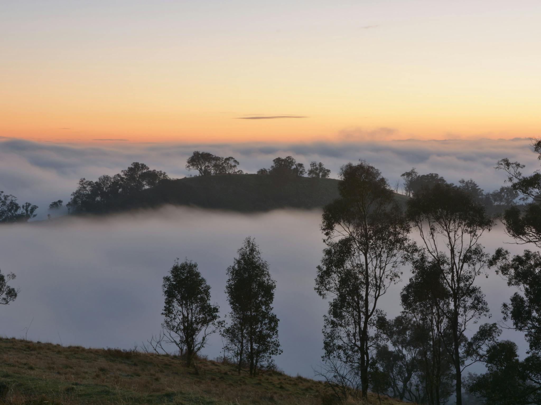 Huon Hill Parklands