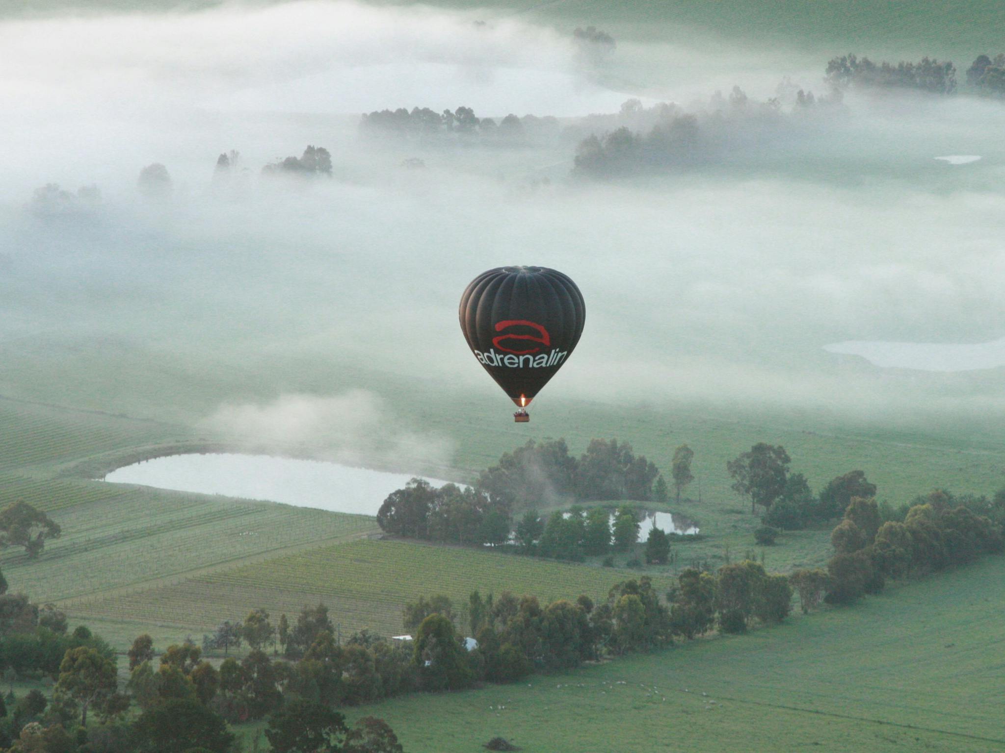 Picture This Ballooning