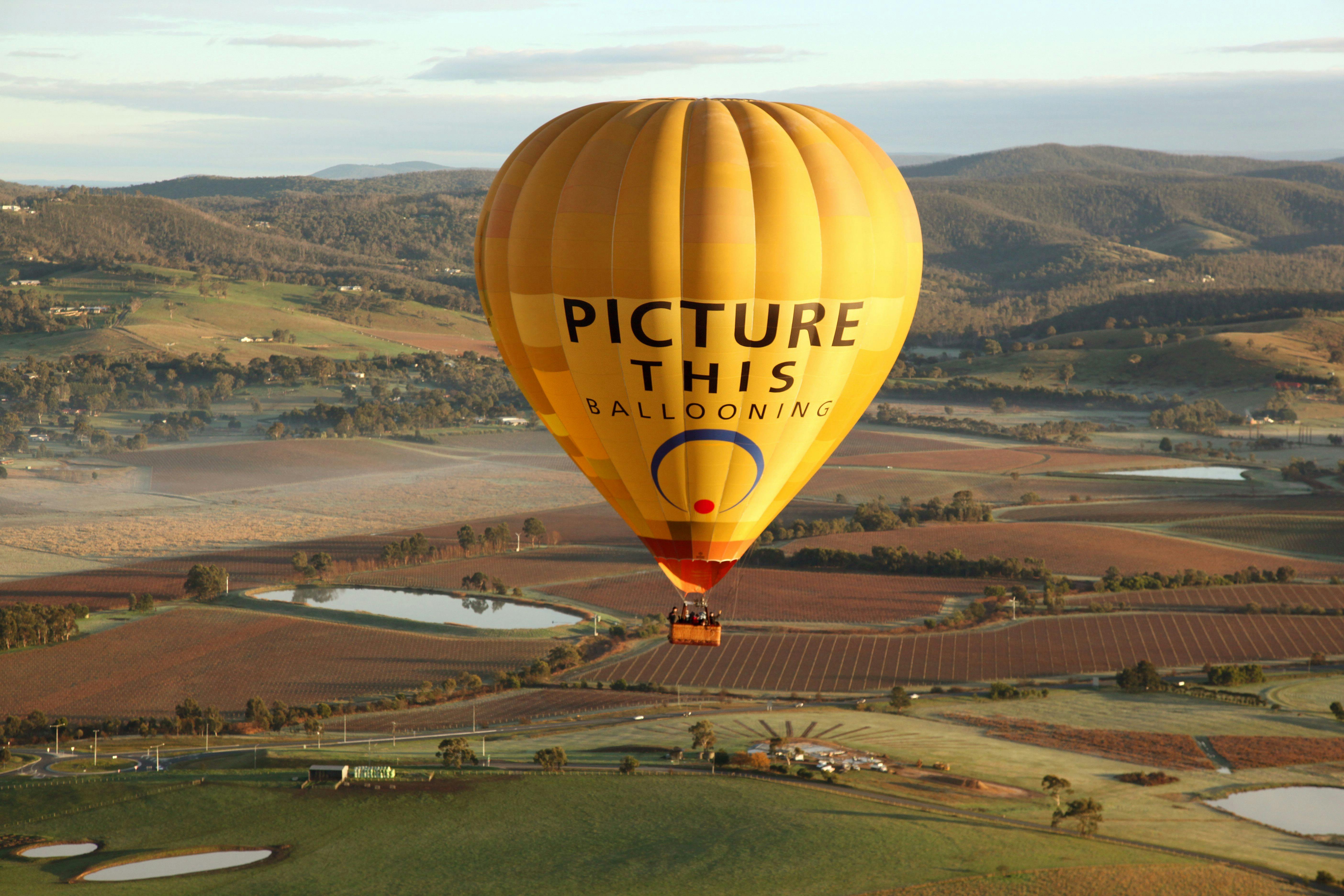 Yarra Valley Hot Air Balloon Experience