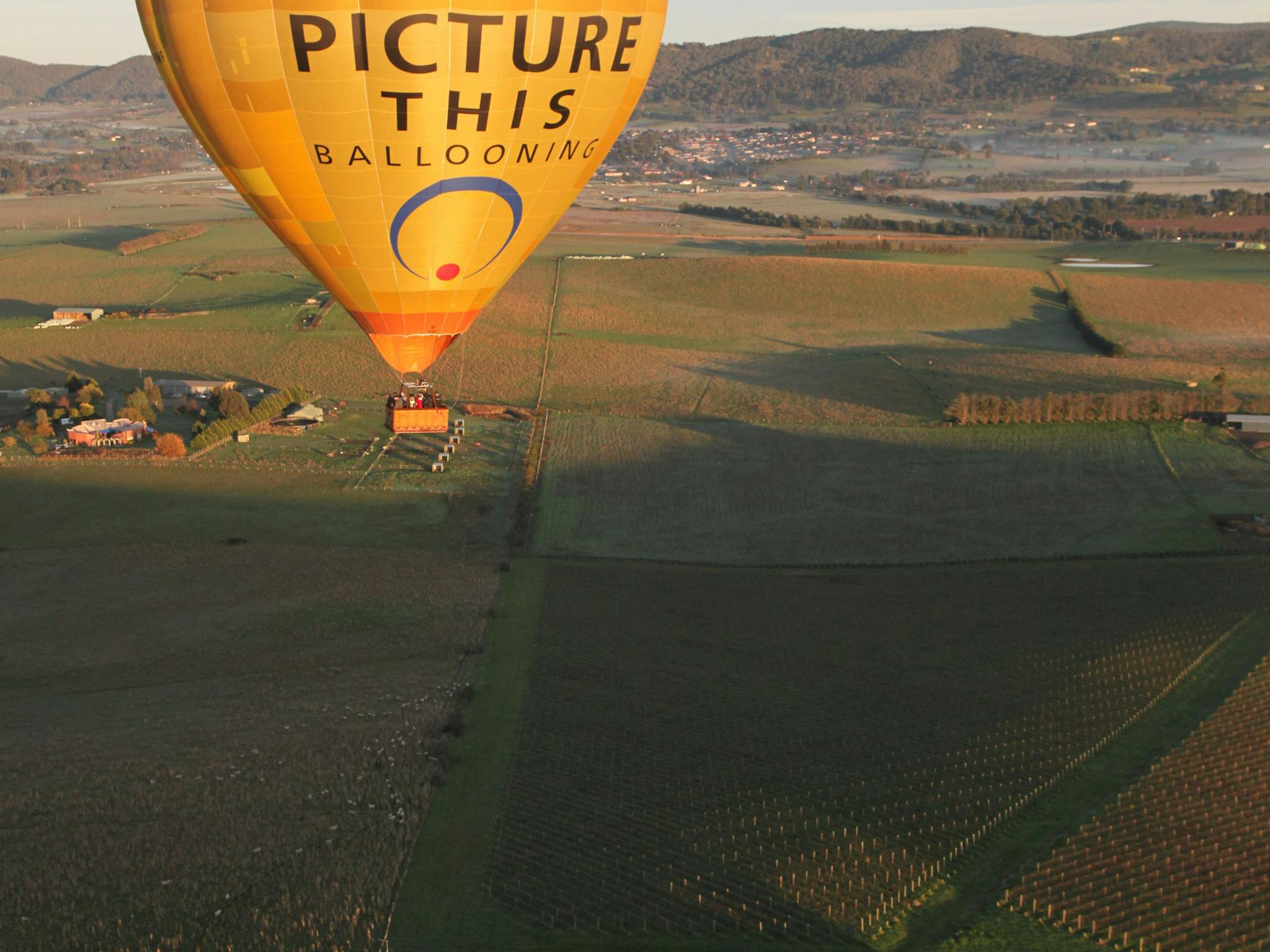 Picture This Ballooning