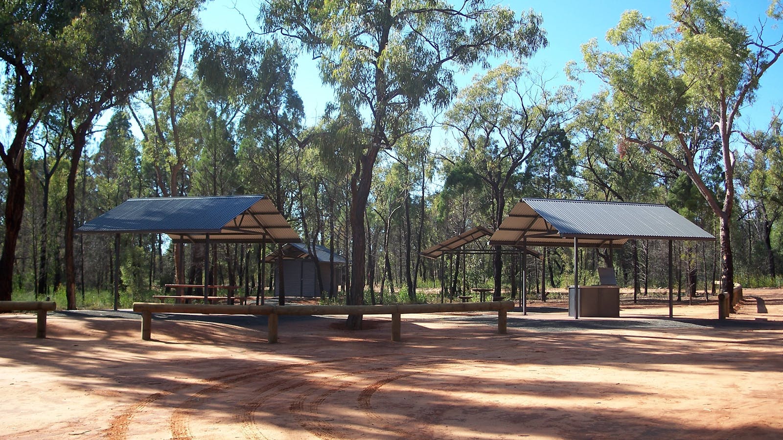 Pilliga Forest