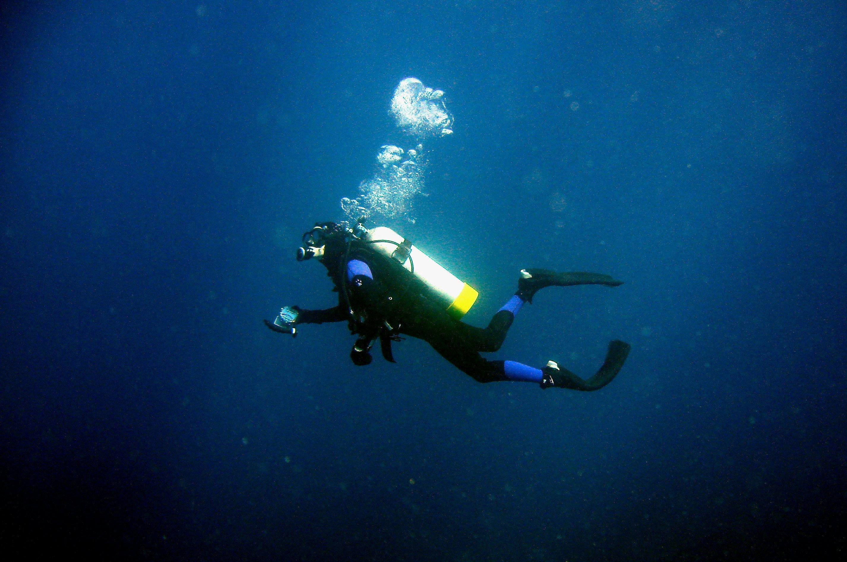 專業潛水之旅豪勳爵島