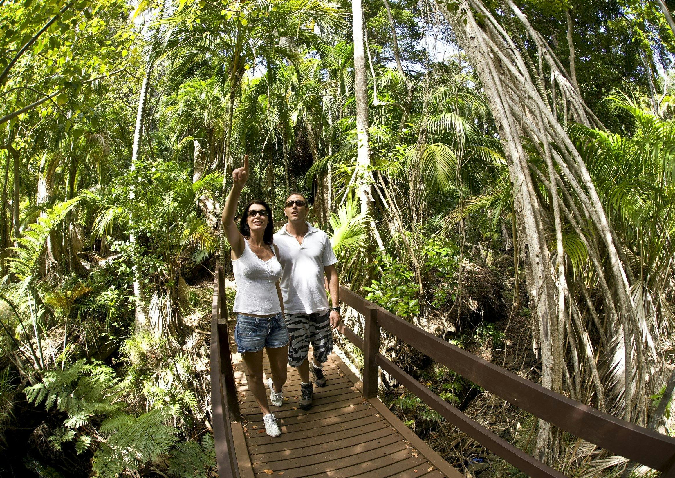 Bushwalking Lord Howe Island