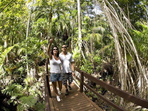 Chase 'n' Thyme Bus Tours