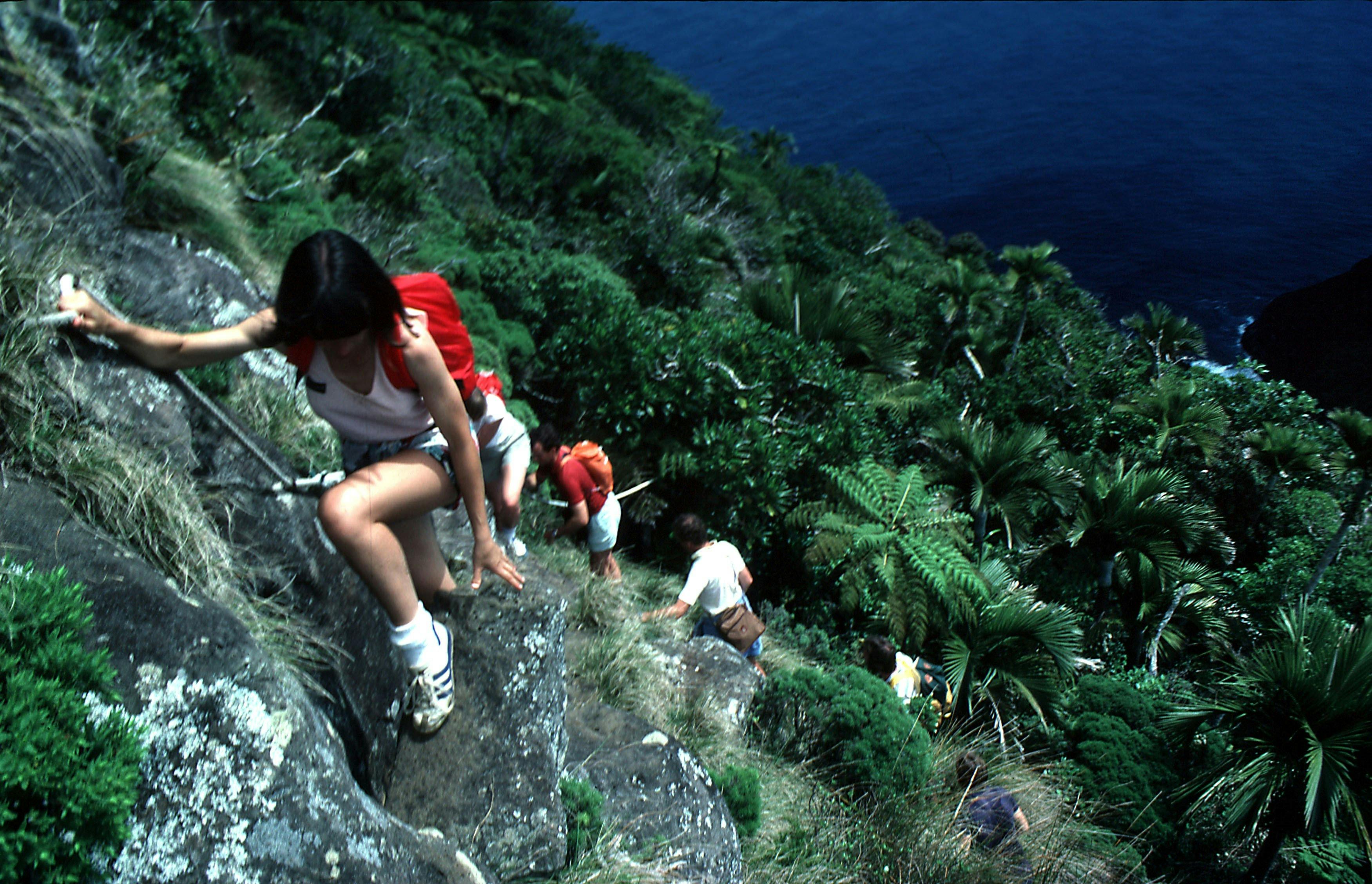 Mt Gower Lord Howe Island