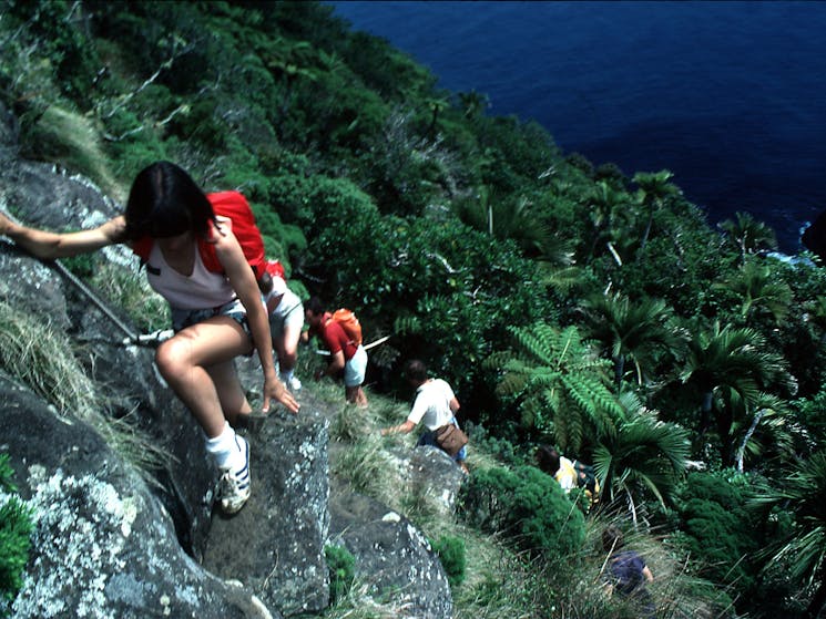 Mt Gower Lord Howe Island