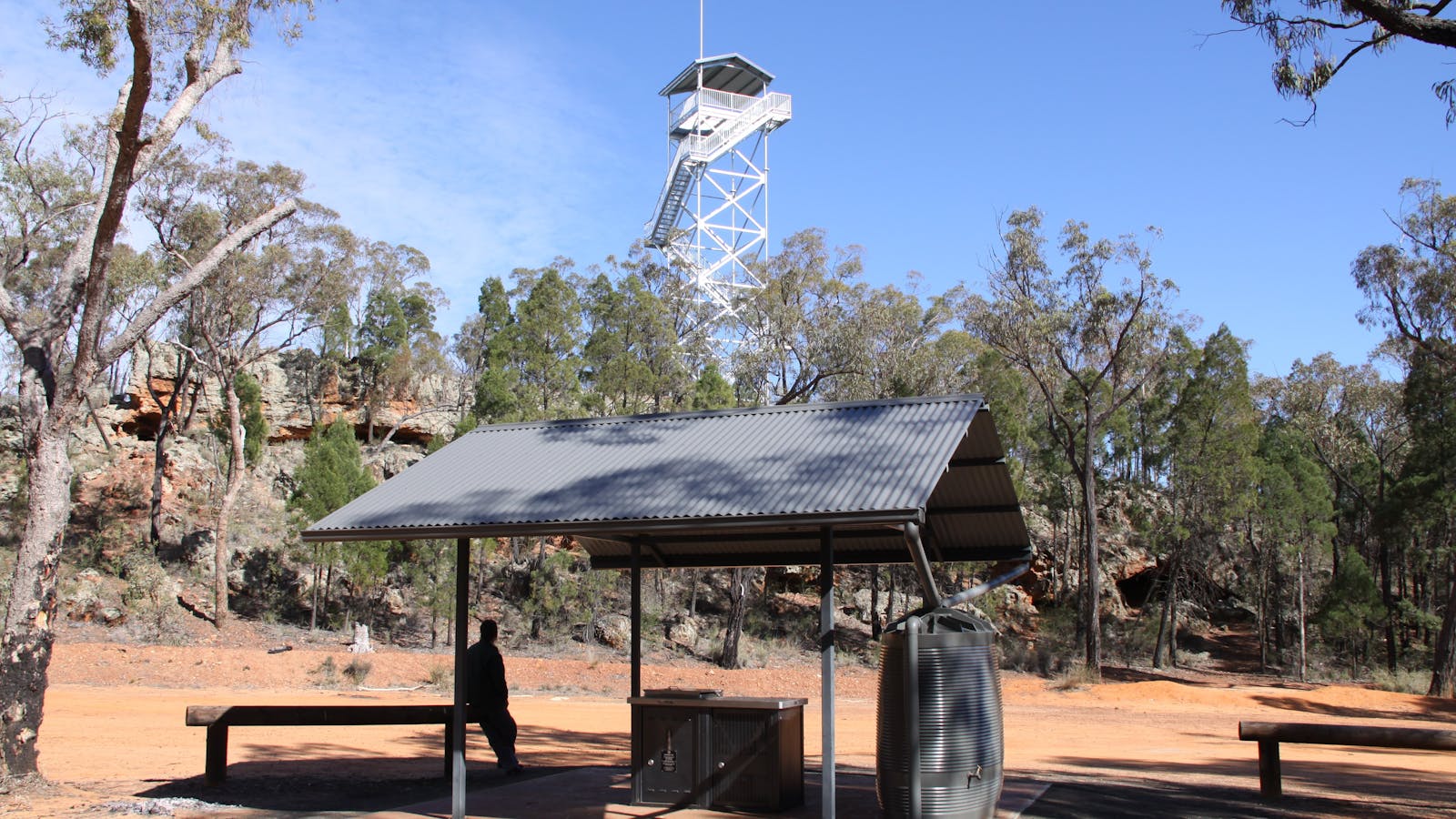 Pilliga Forest