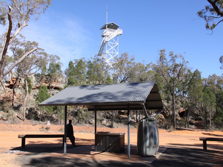 Lookout Tower at Salt Caves Picnic Area