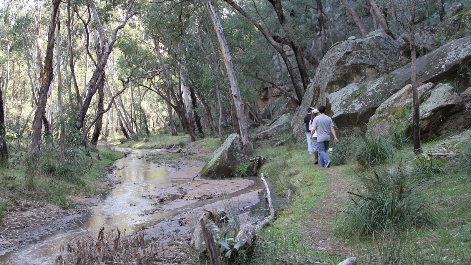 Pilliga Forest