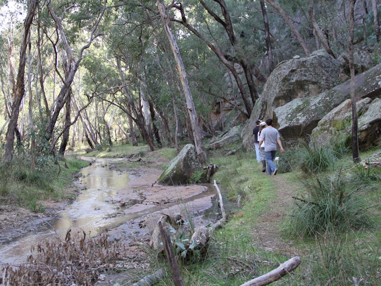 Sculptures in the Scrub Walk