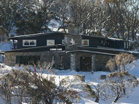The Lions Lair Lodge