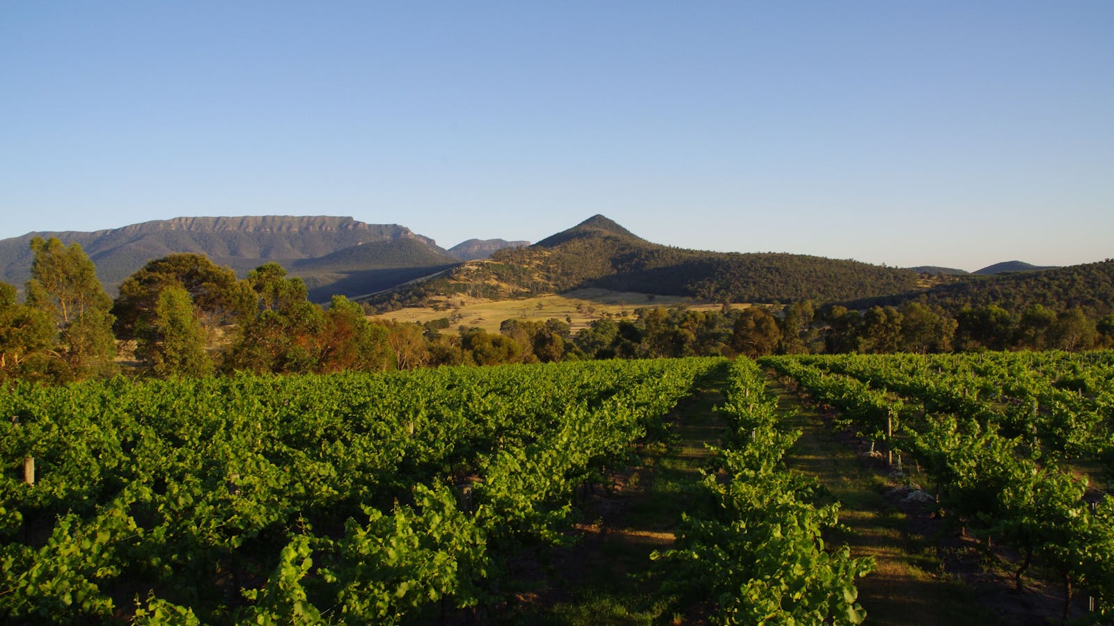 Grampians Estate