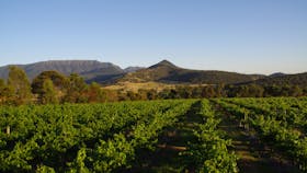 Grampians Estate
