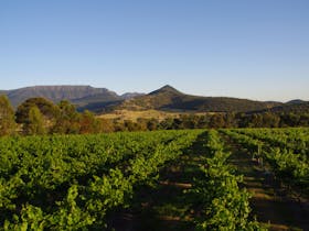 Grampians Estate