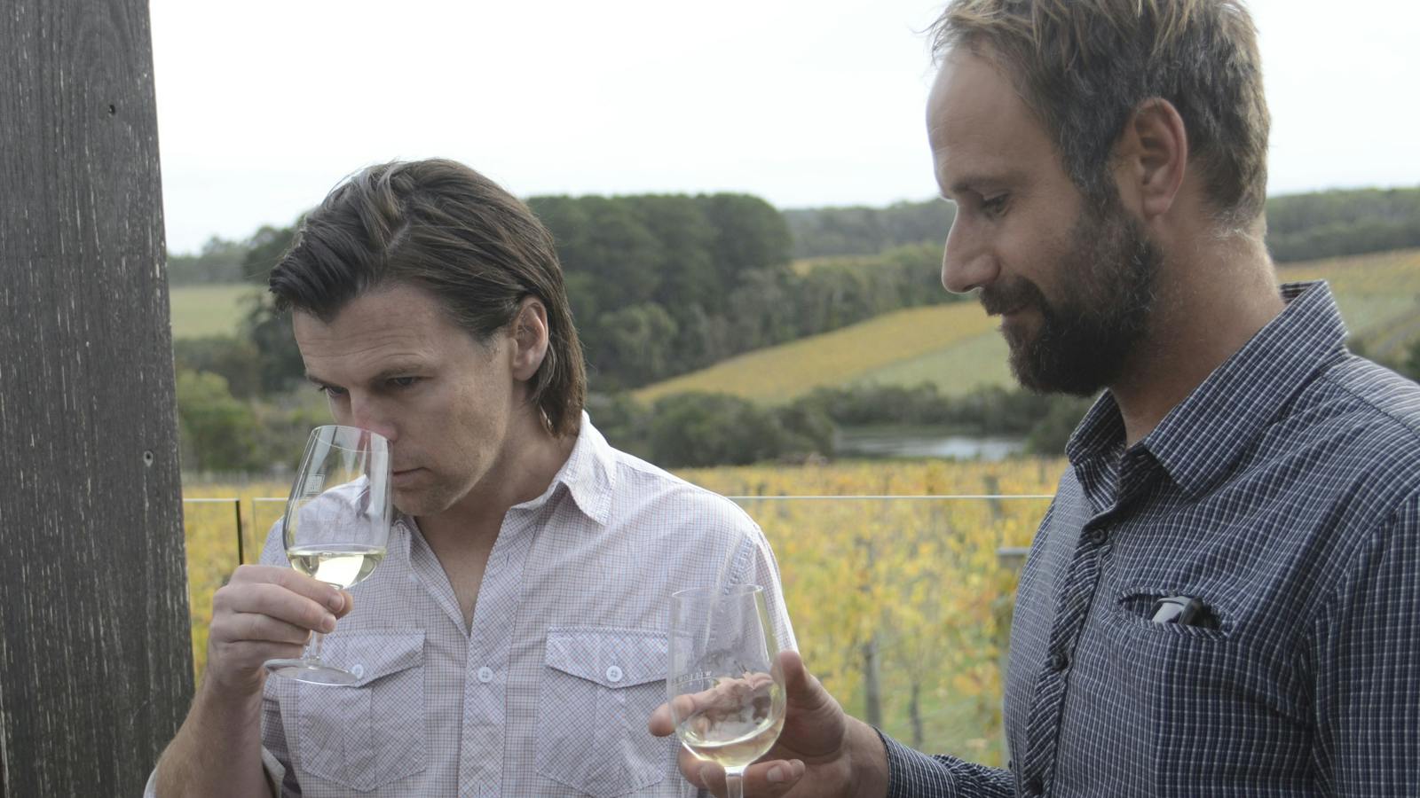 The Hancy's have practiced biodynamic viticulture since 2002