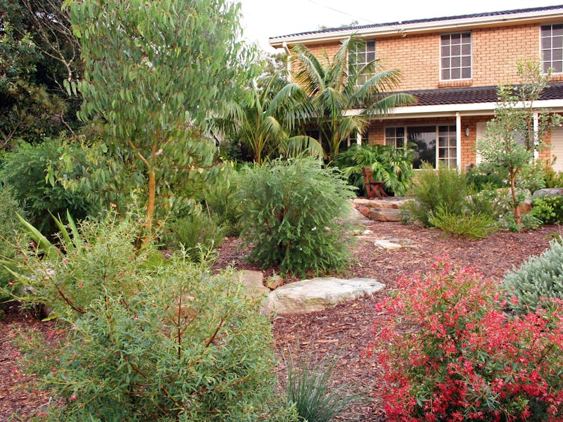 Beautiful native garden
