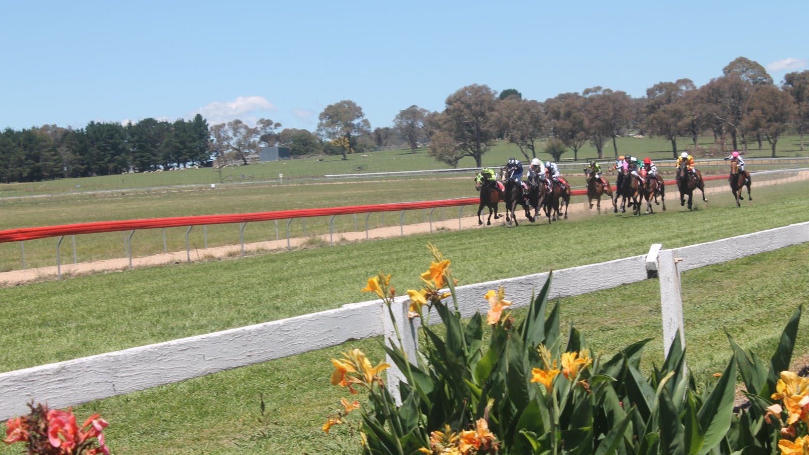 Walcha Cup and Races