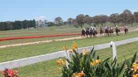 Walcha Cup and Races