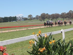 Walcha Cup and Races