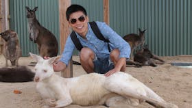 Albino kangaroo