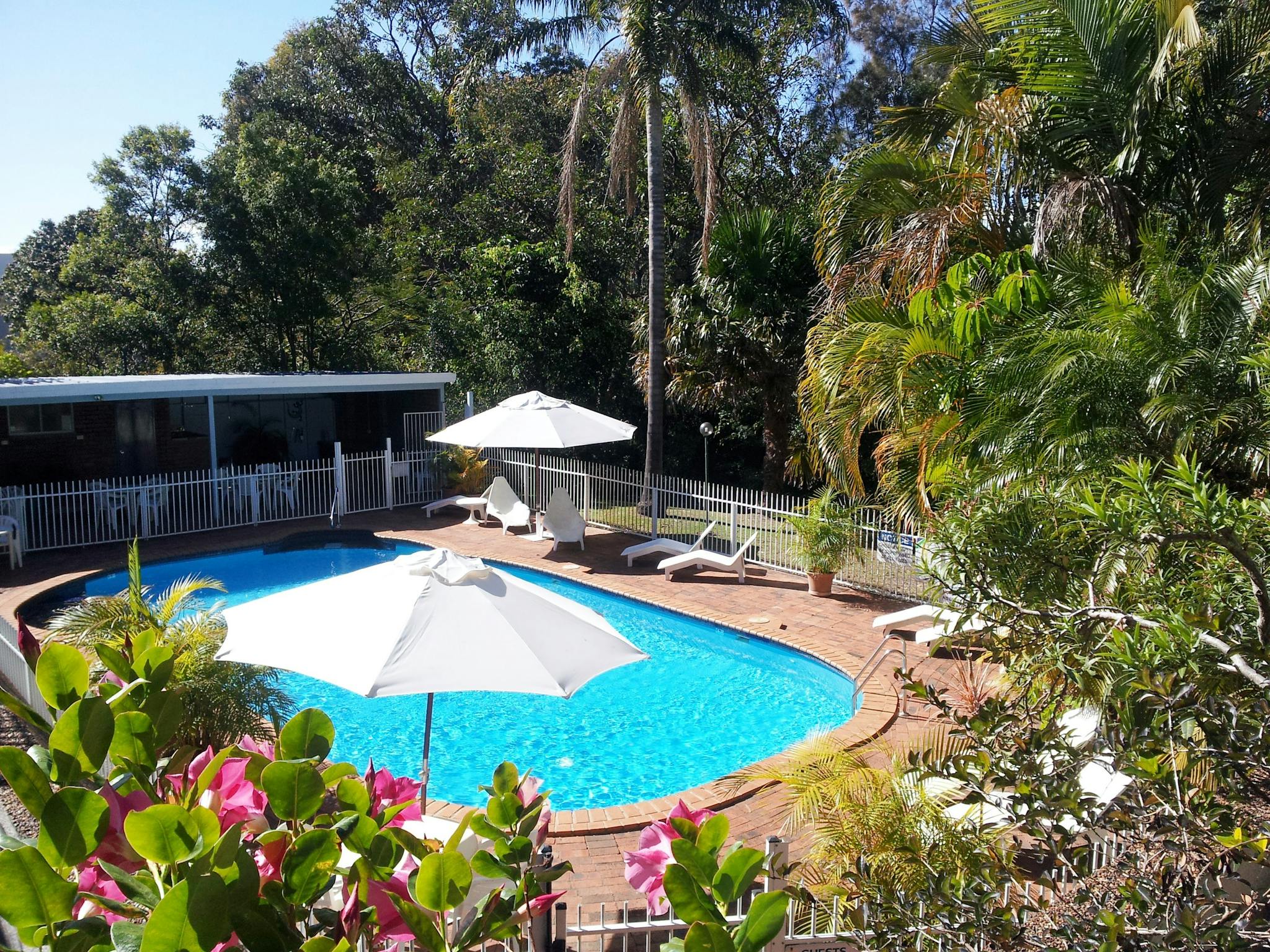All poolside and balcony rooms look out to the pool from a private balcony.